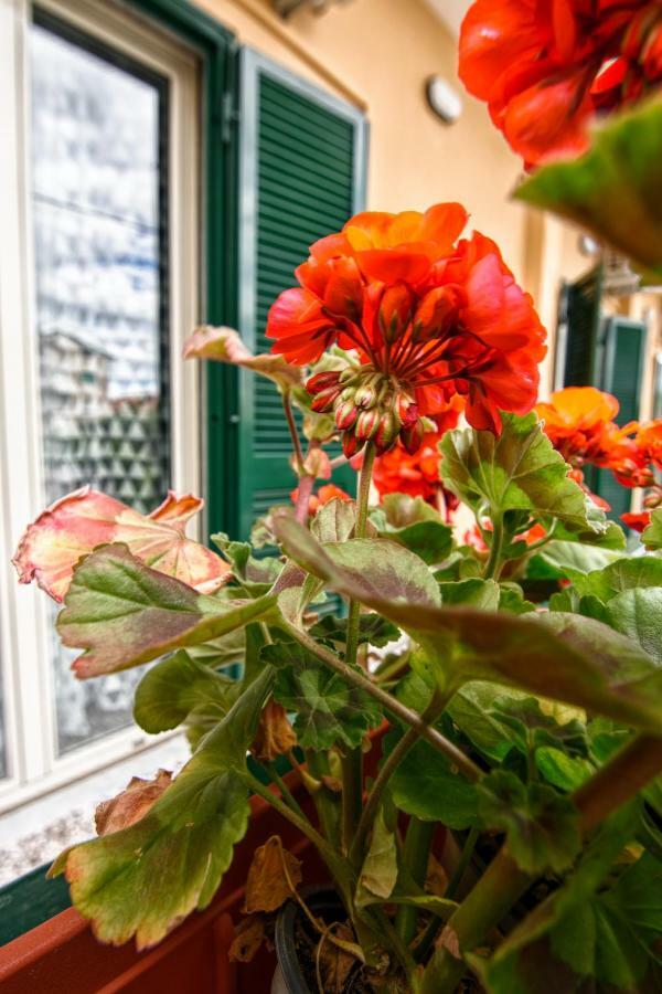 קפואה B&B Grazia מראה חיצוני תמונה
